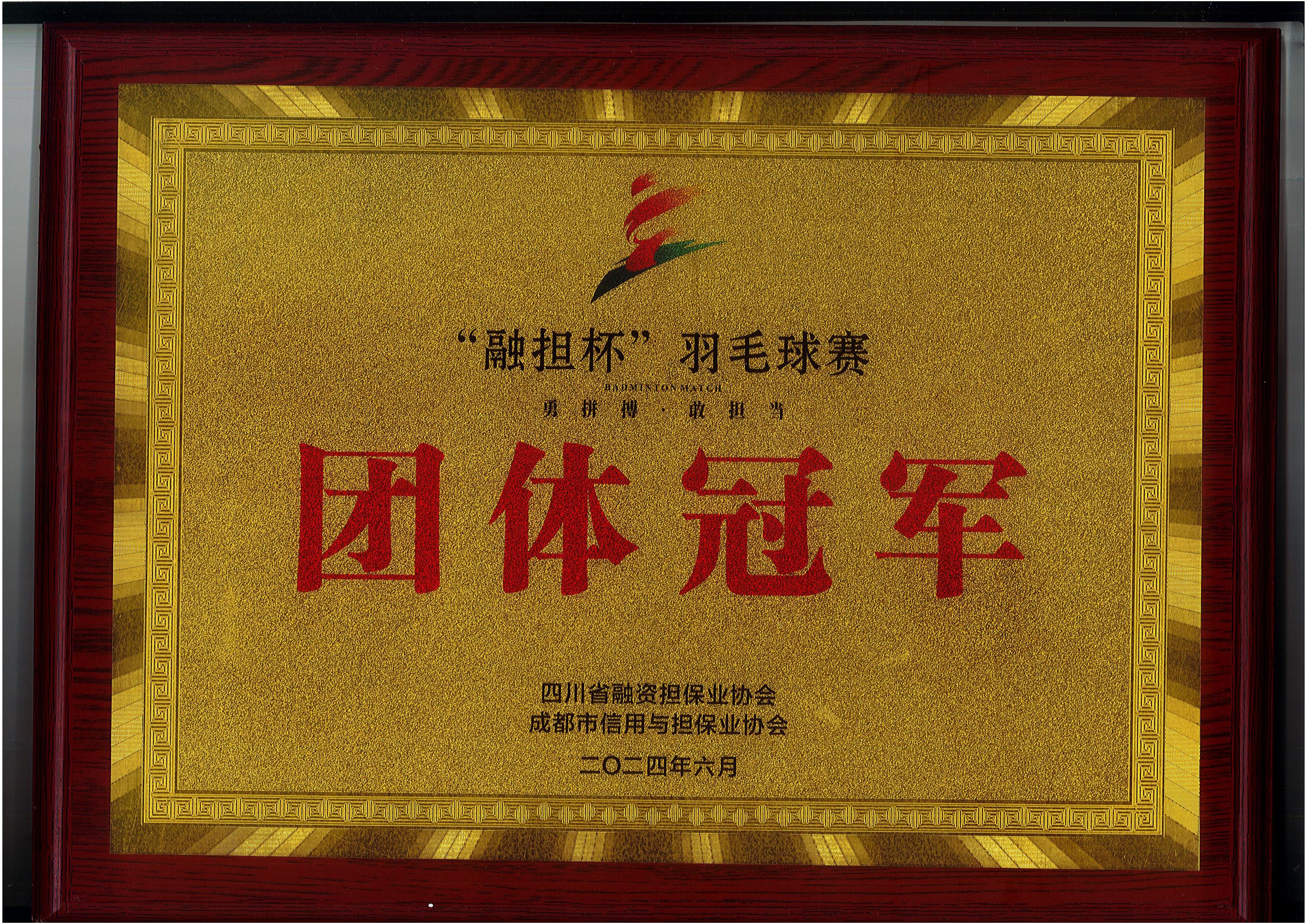 荣获四川省“融担杯”羽毛球赛团体赛冠军