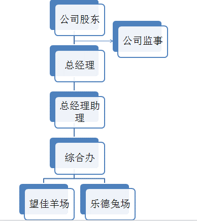 分子公司(图4)